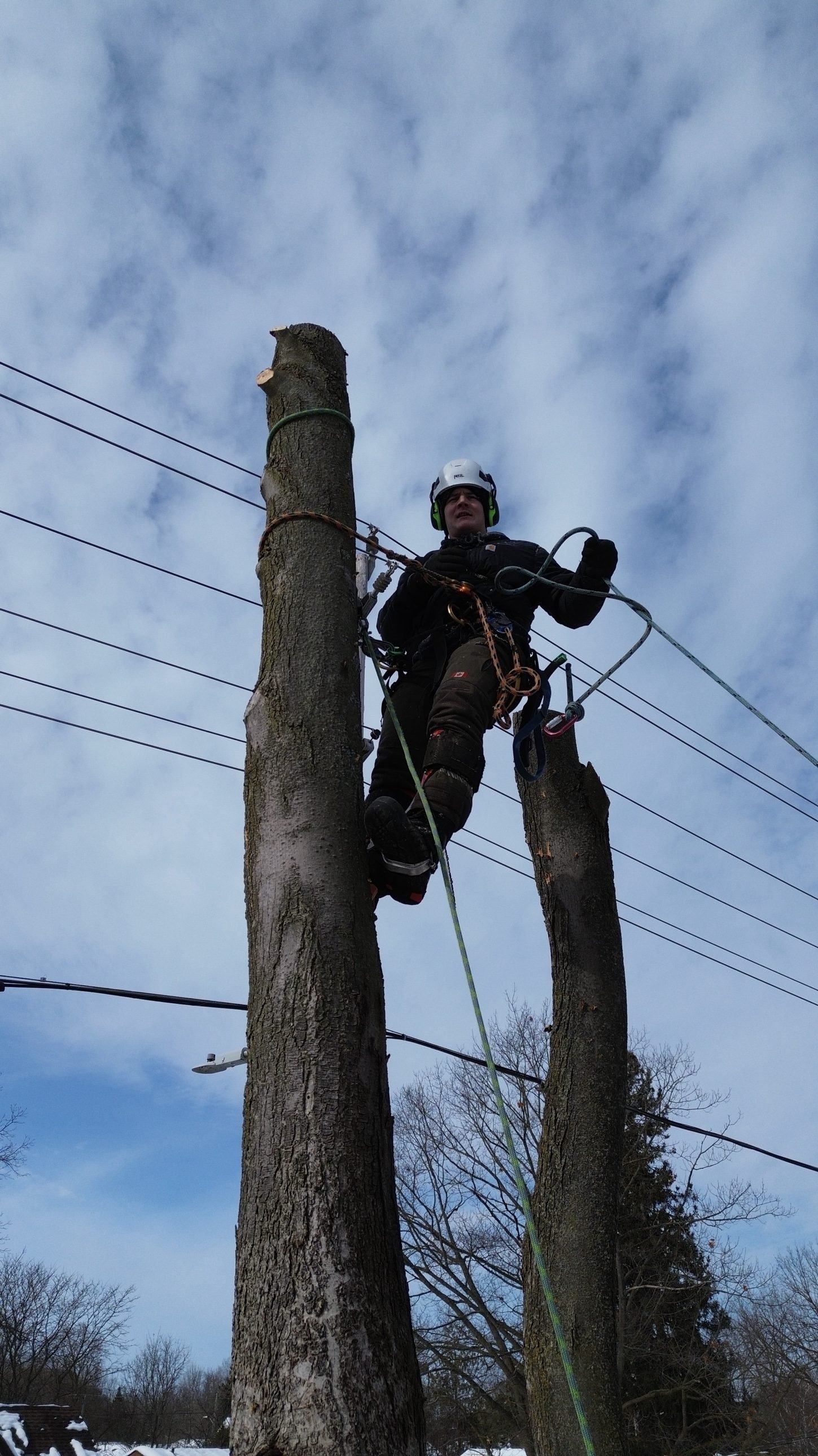 Climber working near overhead utility lines